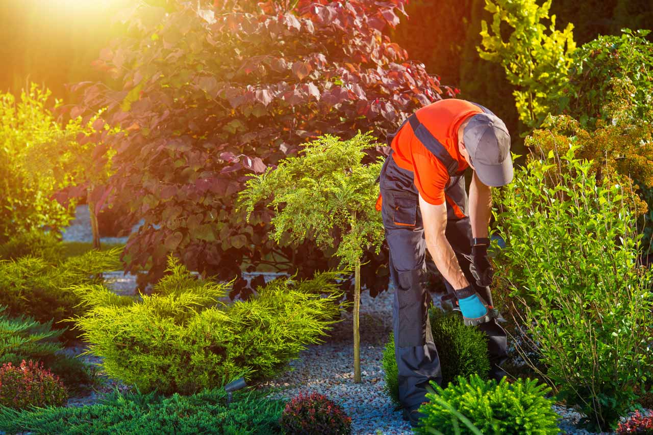 divi-landscaping-theme-9